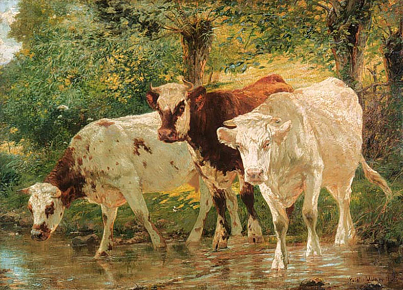 Cows 